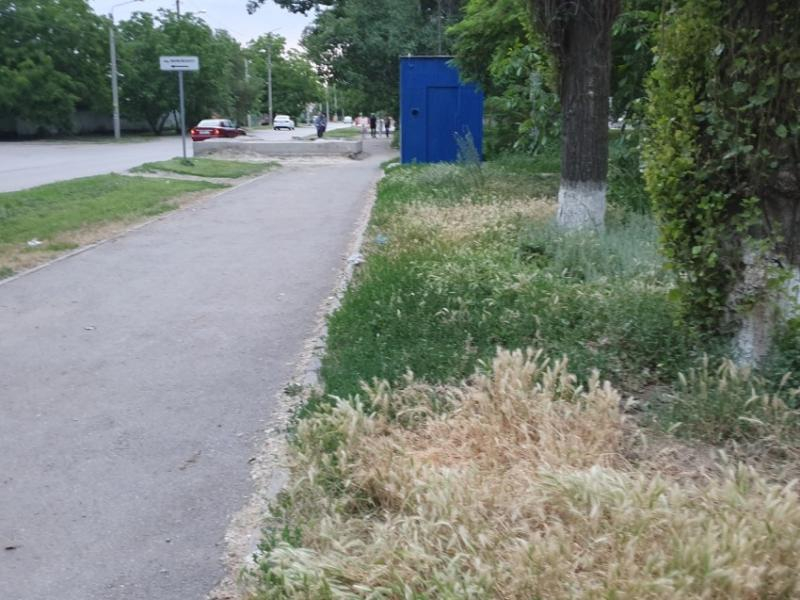 Свыше 60 человек ежедневно косят траву на территории Волгодонска