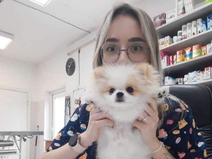 От бесстрашных хомячков до кайфующего тигра: исповедь ветеринаров о чудесах, трагедиях и бесконечной любви к животным