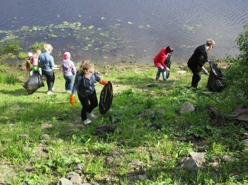 Волгодонск стал одним из самых активных участников Всероссийской экологической акции в Ростовской области