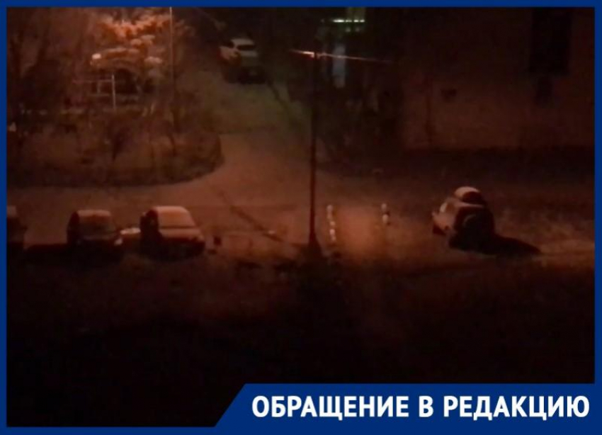 Стая собак не дает спать по ночам жителям новой части Волгодонска