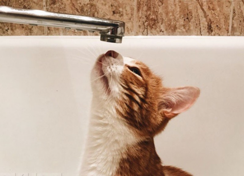 В пяти МКД сегодня должны возобновить подачу горячего водоснабжения