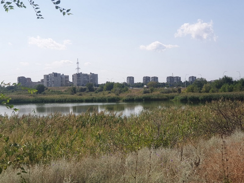 Новая неделя начнется в Волгодонске с прохладного утра