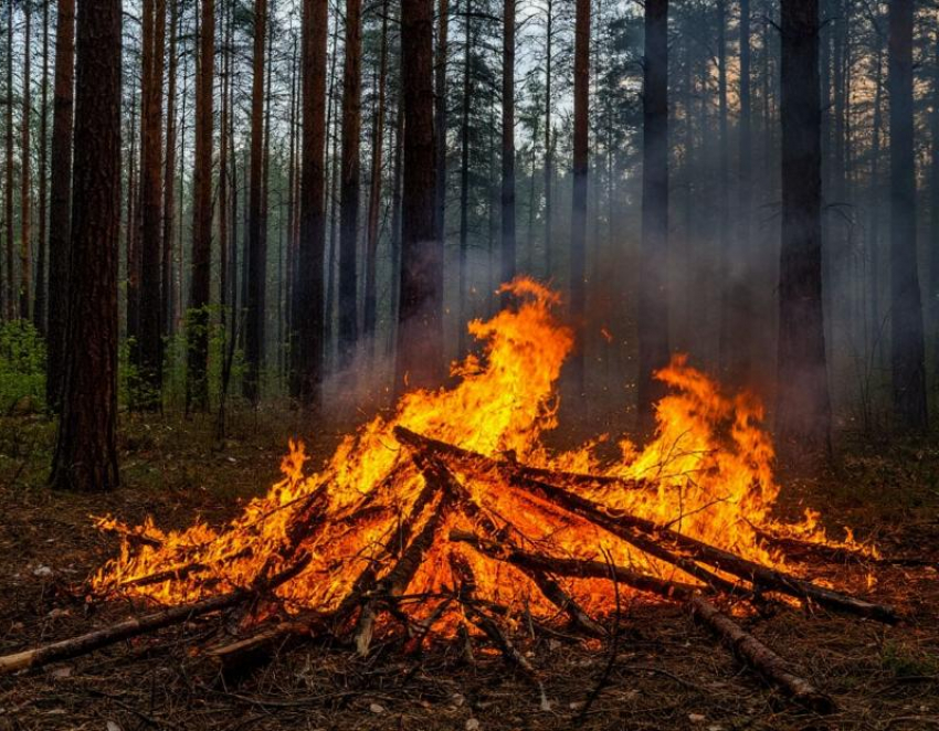 В Волгодонске и области с 6 апреля начнётся пожароопасный сезон