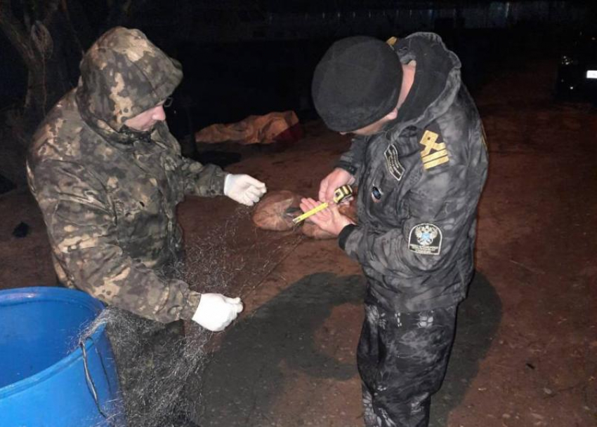 Волгодонские браконьеры ловили рыбу на сети в Сухо-Соленовском заливе