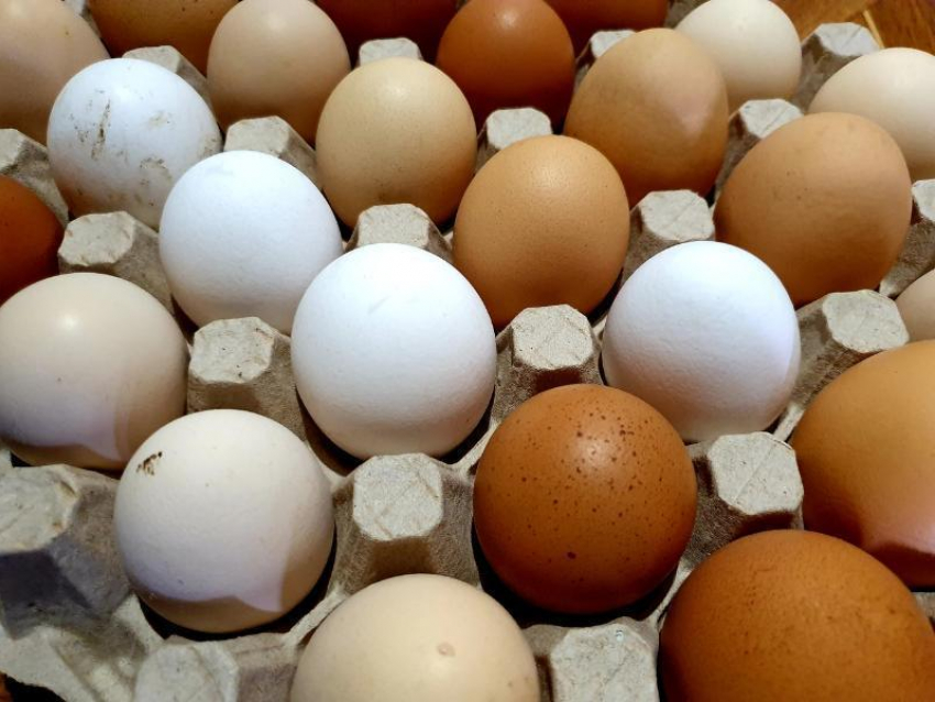 За месяц в Волгодонске поднялись цены на яйца 