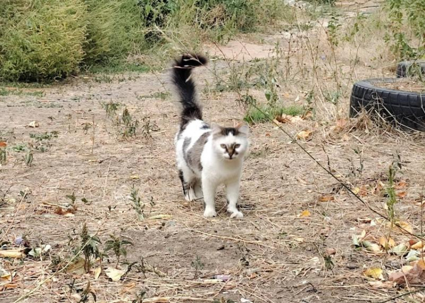 Солнце сегодня будет укрыто тучами