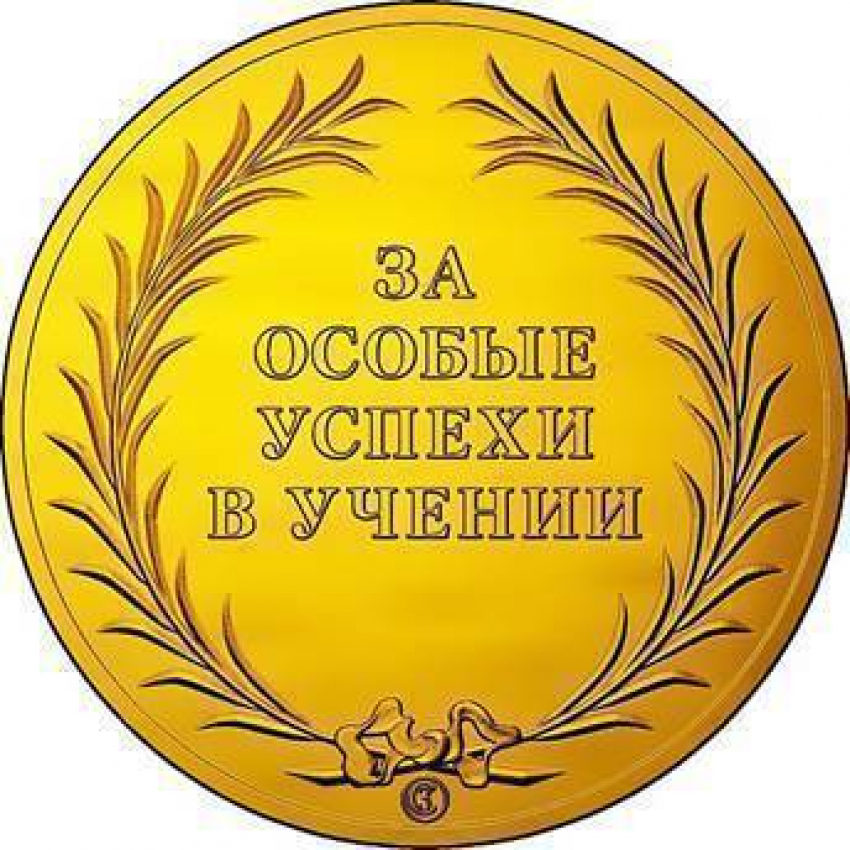 В Волгодонске подсчитали количество школьных медалистов