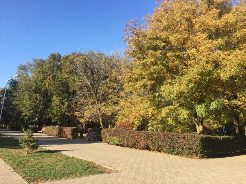 Теплой и солнечной пятницей завершится рабочая неделя