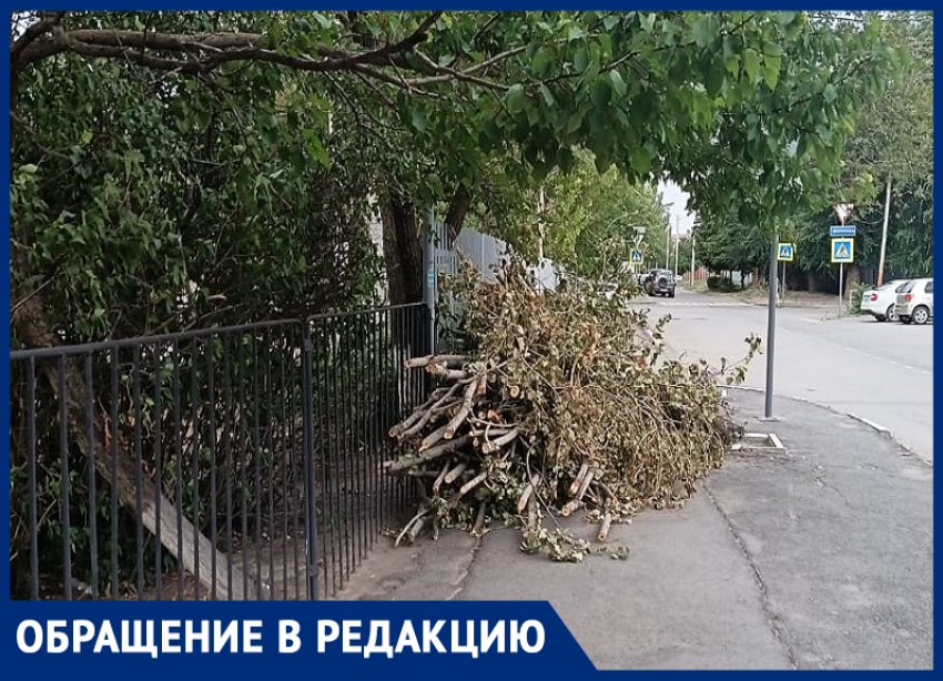 Огромная куча веток мешает гулять у Департамента труда и социального развития молодой маме 