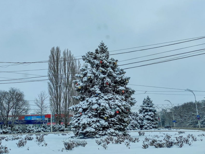 Снег и мороз прогнозируют Волгодонску в понедельник 