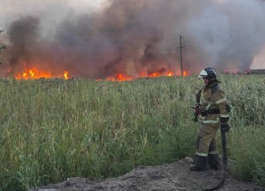 Пожары в Волгодонске стали одними из сильнейших в Ростовской области