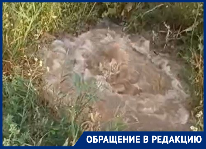 Болото вместо дорог: жители элитных коттеджей на улице Гаражной месяцами ходят по лужам