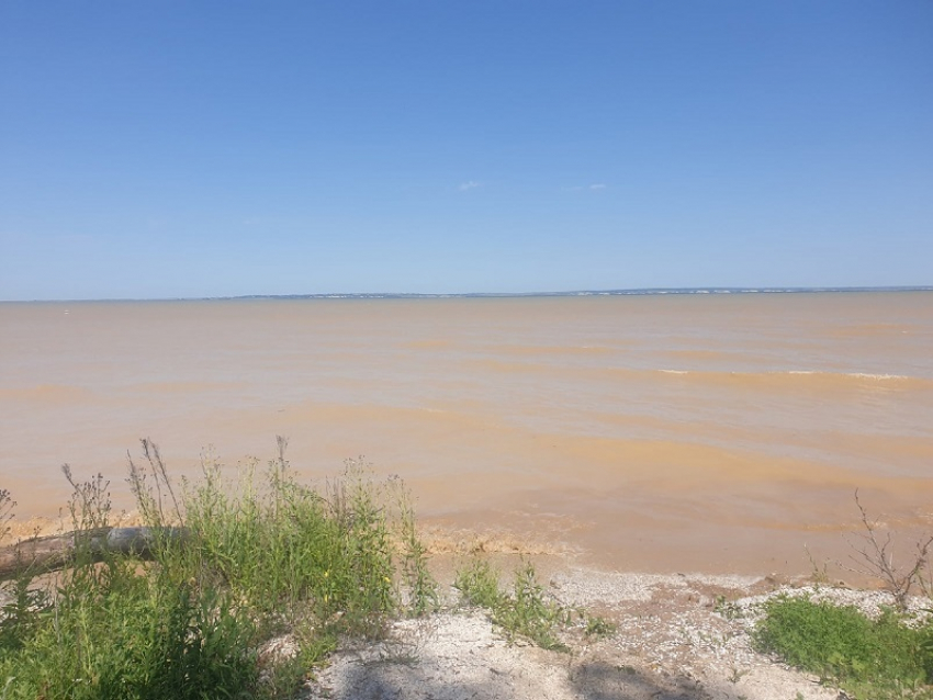 Дон начинает быстро мелеть 