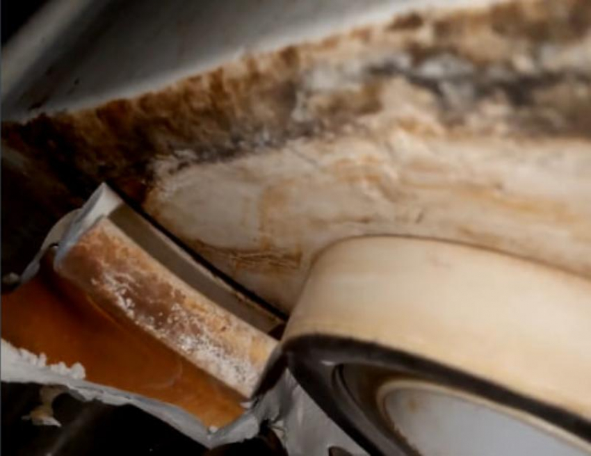 Виной всему оказался бачок унитаза: УК «Новый город» опровергла случай с потопом на улице 50 лет СССР 