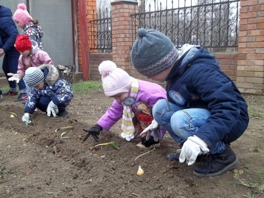 Клумбу цифрой «80» из тюльпанов высадили в Волгодонске