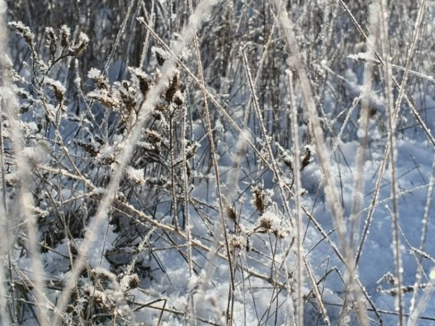 «По ощущениям -27»: сильный мороз и мощный ветер обещают сегодня в Волгодонске 