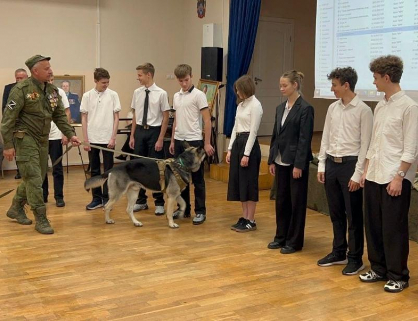 Донские школьники встретились с ветераном СВО и его псом
