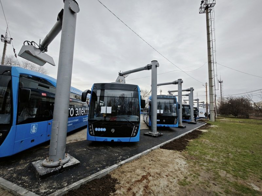 В 2 раза до трети от всей выручки выросли убытки МУП «ГПТ» в Волгодонске