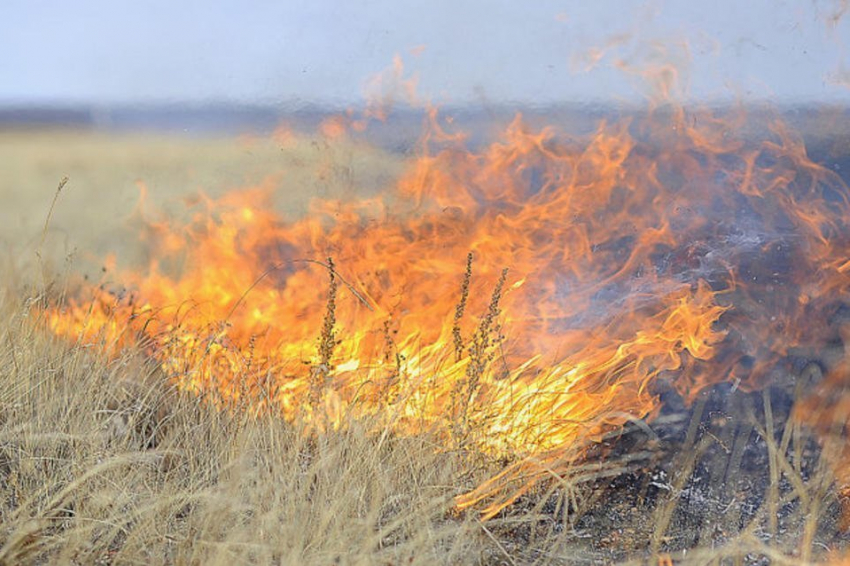 В Волгодонске и ближайших районах сохраняется высокая пожароопасность 
