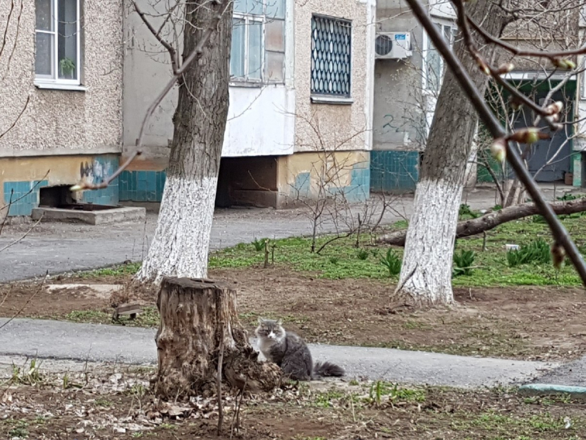 Среда будет холодной и дождливой 