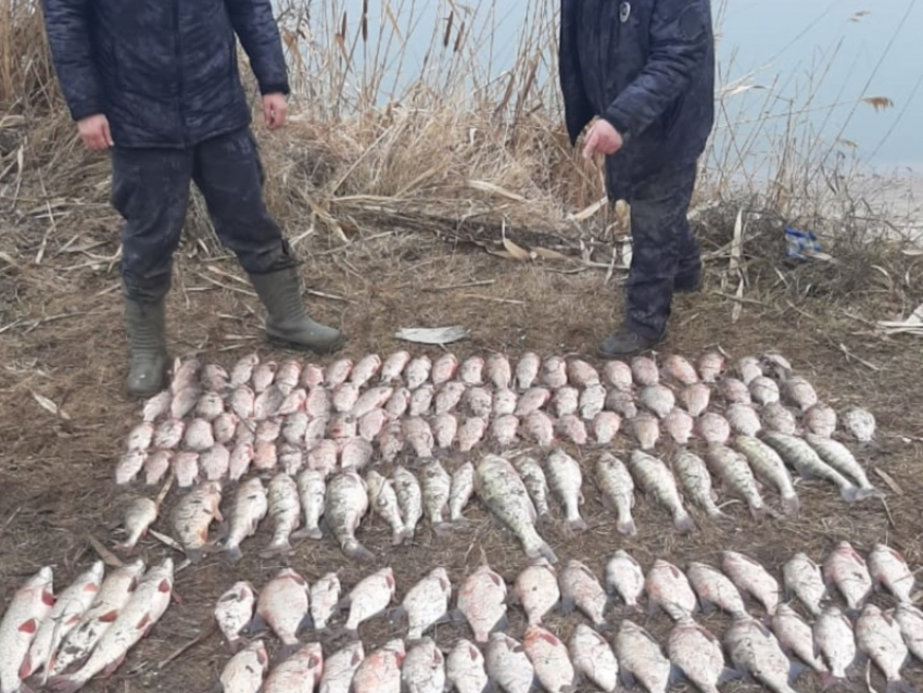 65 килограмм рыбы на 159 тысяч рублей ущерба незаконно выловили двое граждан в Цимлянском районе