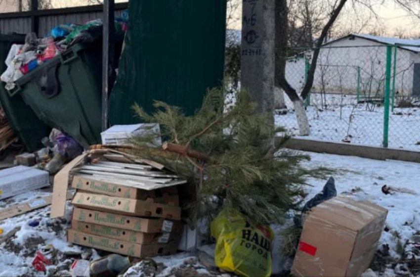 Инспекторы наказали УК «ЖРЭУ-5» за кучу мусора на контейнерной площадке 