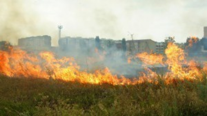 В новом городе сгорело 5 гектаров сухостоя
