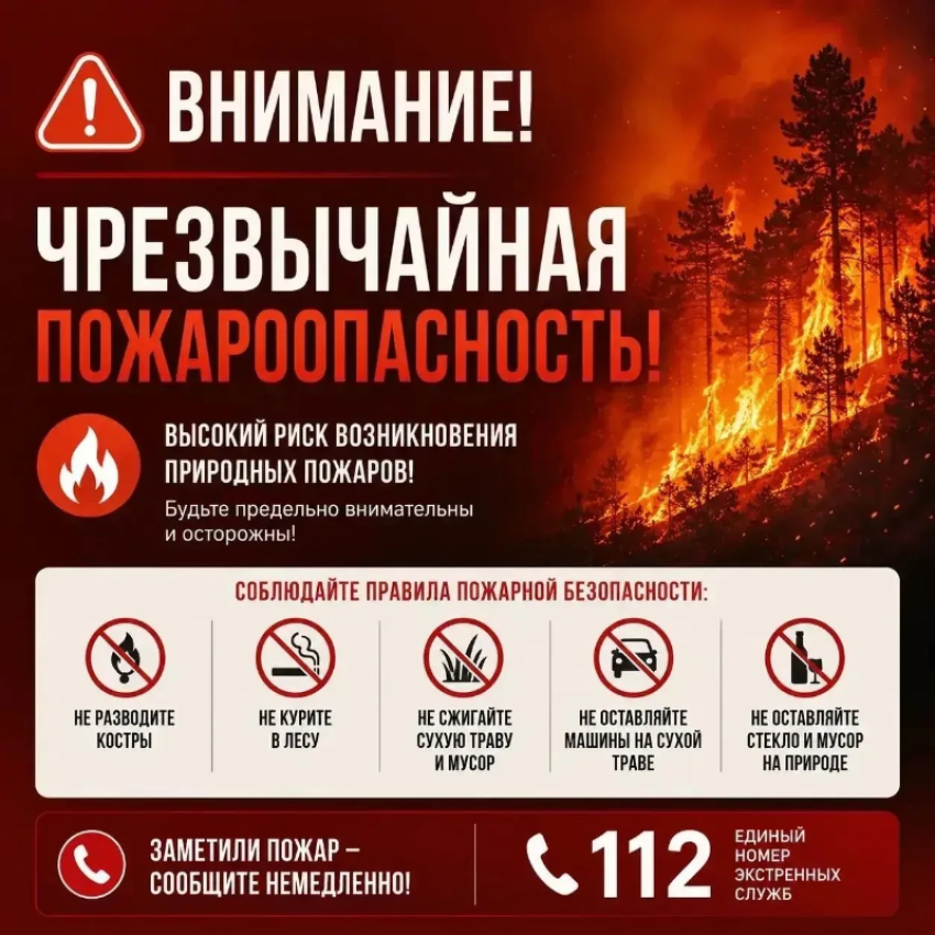 МЧС объявило чрезвычайную пожарную опасность в граничащих с Волгодонском районах 
