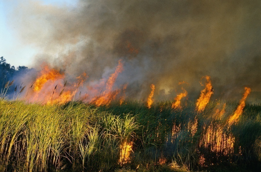 Дубовский район вошел в число самых пожароопасных