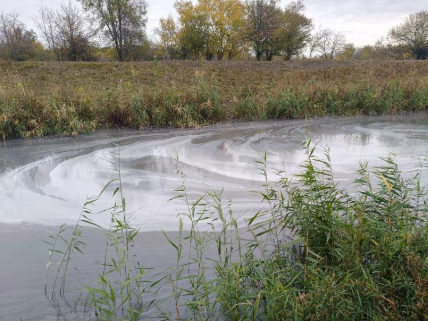 «Нашим предкам река Быстрая дала жизнь – а мы превратили ее в убийцу!»: жители в ужасе от экологического коллапса водоема