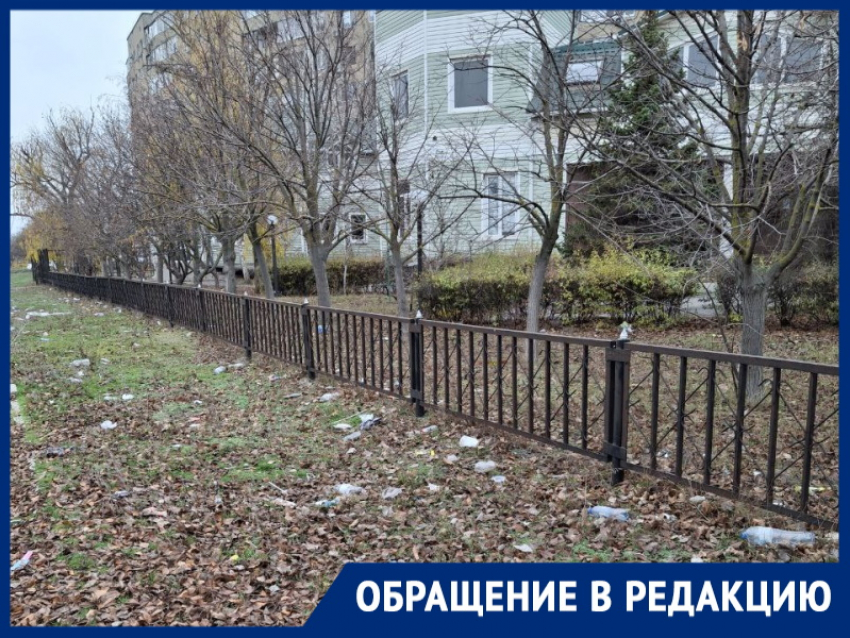 «Атомград называется»: жительница Волгодонска поделилась зарисовками городского пейзажа 