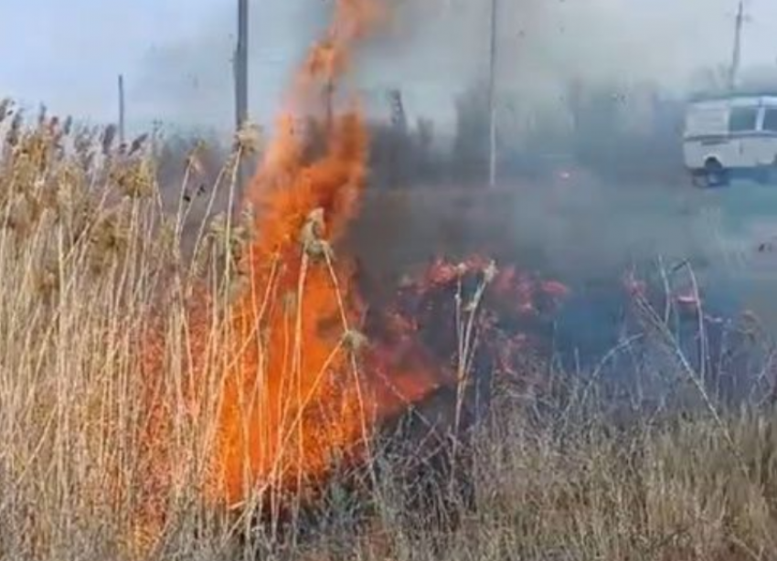 В Волгодонске продолжается контролируемый пал растительности