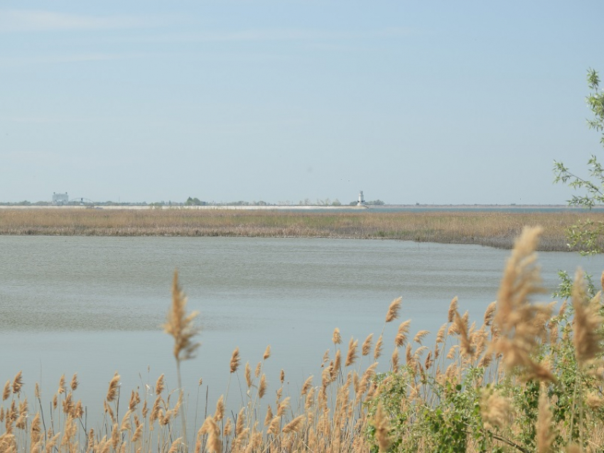 Приток воды в Цимлянское водохранилище немного вырос