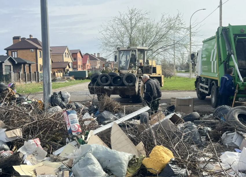 «Только покрышек вывезли 3 самосвала»: в Волгодонске стартовал сезон фотоохоты на «свиней-мусорщиков»