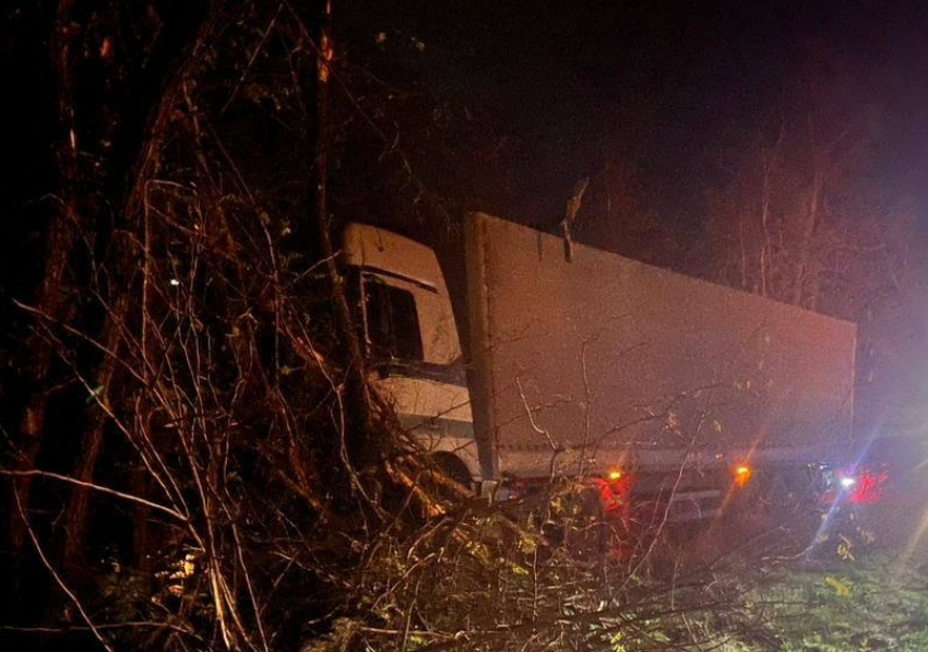 Водитель грузовика из-за сердечного приступа врезался в дерево на трассе Цимлянск - Шахты
