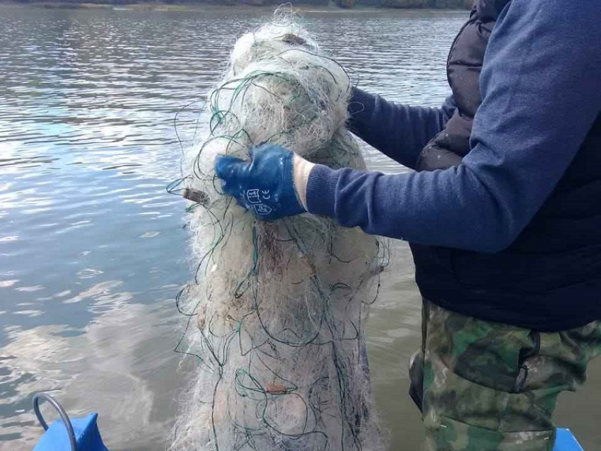 Сильный ветер увеличил число опасных для рыб брошенных сетей в Цимлянском водохранилище