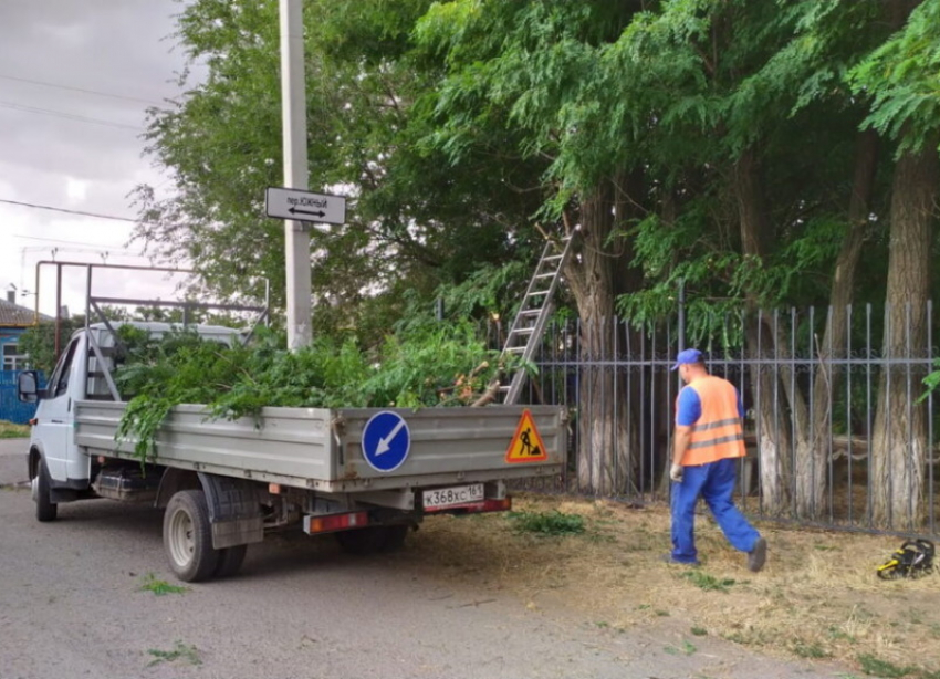 Автомобилисты Волгодонска помогли администрации найти закрытые листвой дорожные знаки