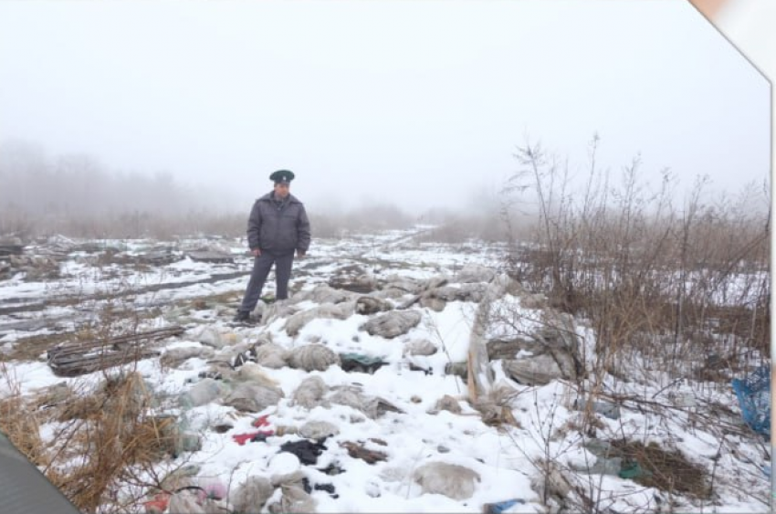 В Цимлянске суд обязал собственника выплатить более 6 млн рублей за ущерб почве