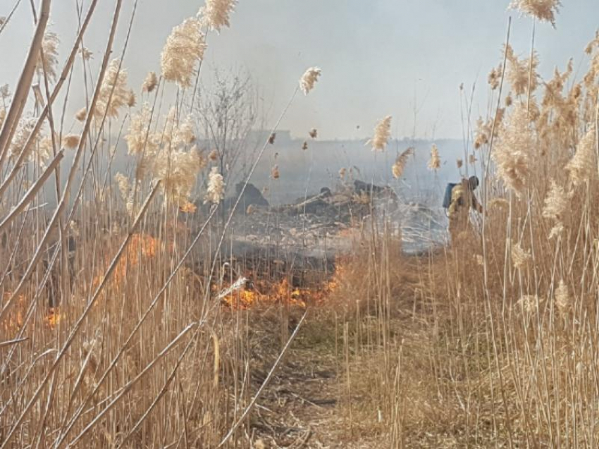 Чрезвычайная пожароопасность сохраняется в Волгодонске и ближайших районах 