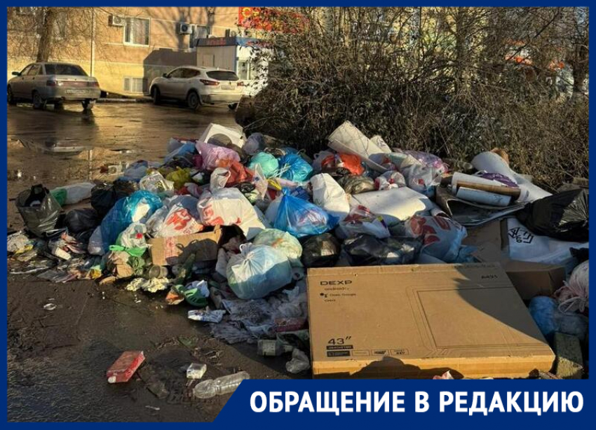 «Мусорный коллапс»: свалка на Степной разрастается больше месяца