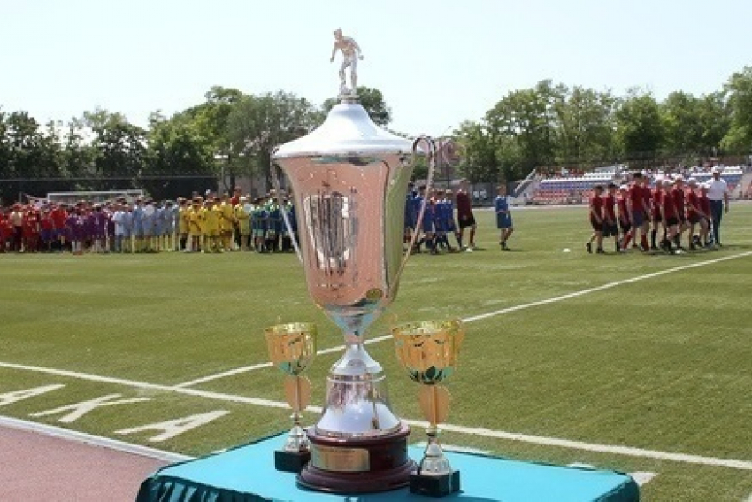 Мартыновские школьники стали чемпионами области по футболу