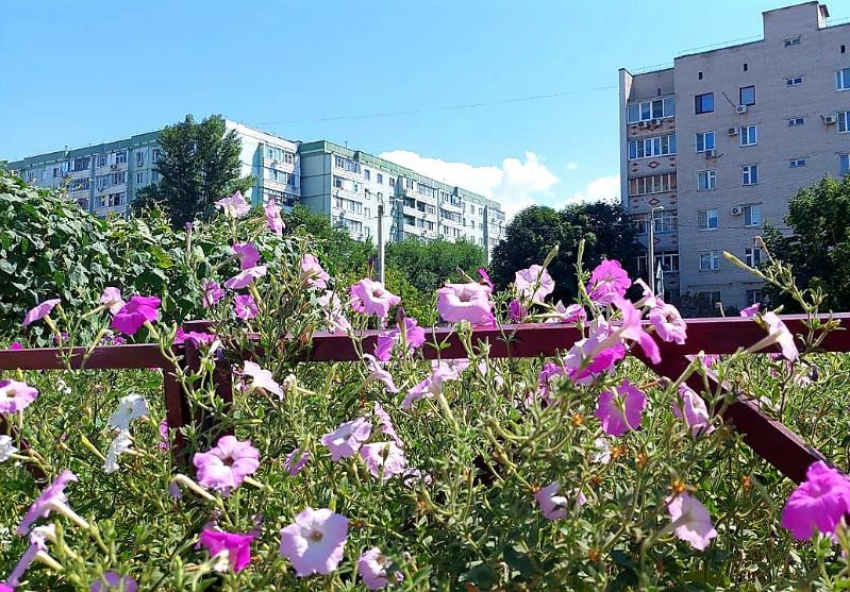 Жарким и солнечным будет четверг в Волгодонске