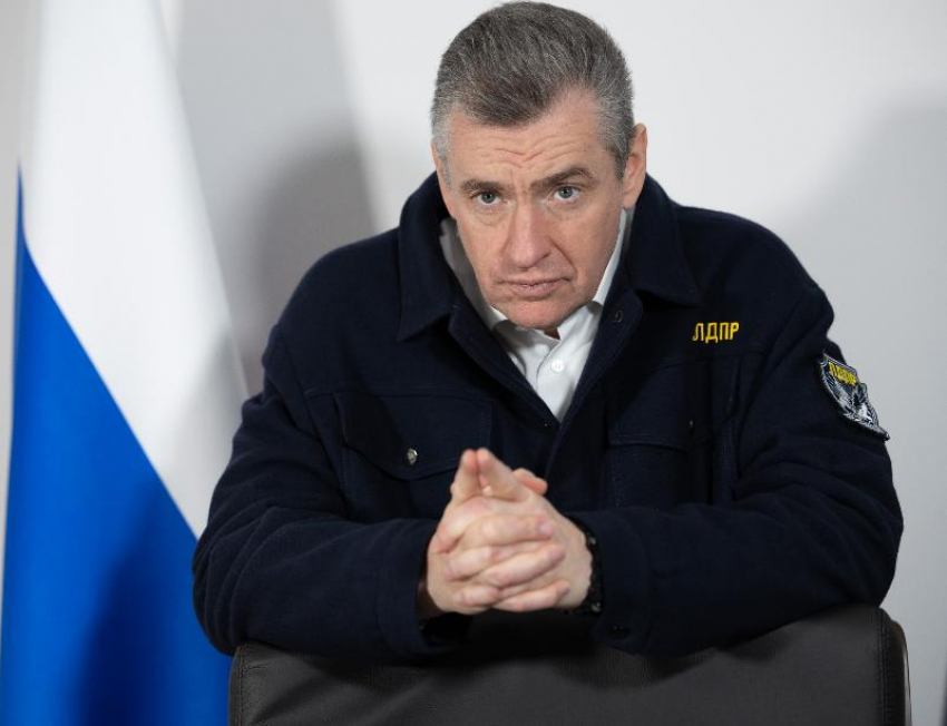 ЛДПР предложила лишать гражданства тех, кто получил паспорт ради льгот и жилья
