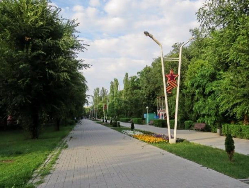 Почти три миллиона рублей потратят в Волгодонске на посадку цветов и оздоровление зеленого массива в парке Победы