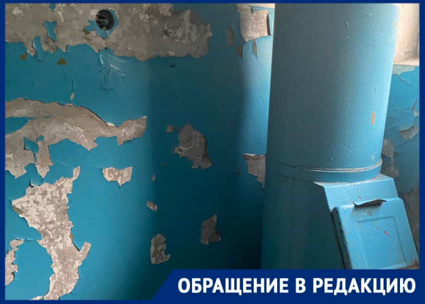«Неприятно, что в моем любимом городе такое происходит!»: жители в ужасе от коммунального ада на проспекте Строителей 