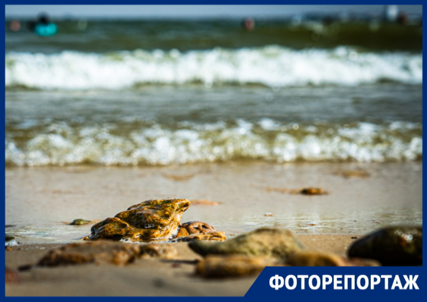Ничем не хуже, чем на Черном море: Цимлянский пляж - изюминка Ростовской области 