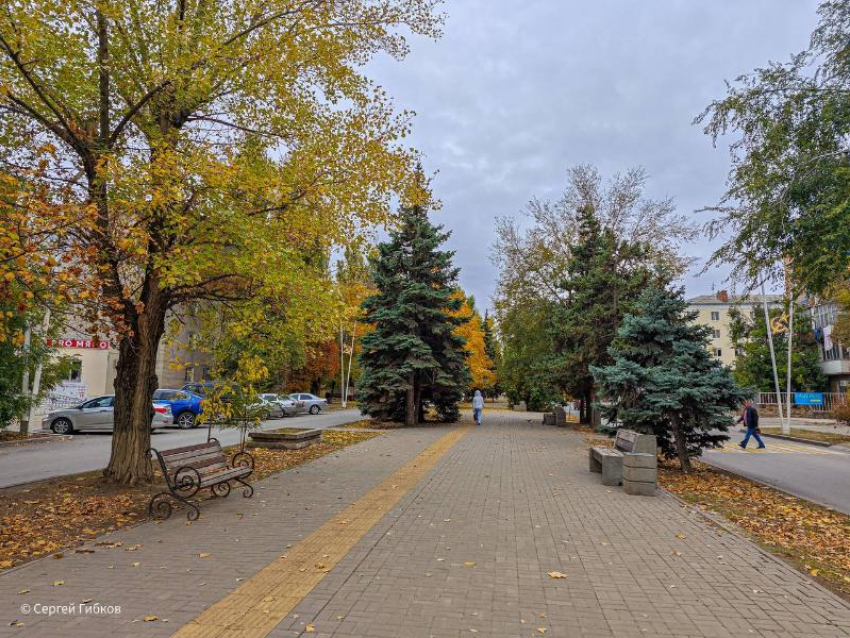 В Волгодонске начало новой недели будет прохладным