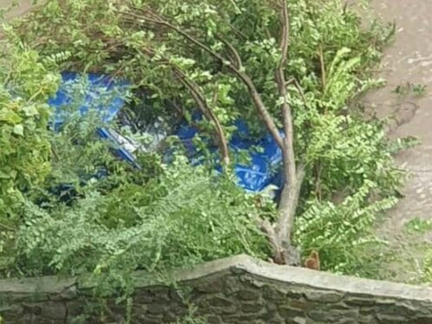 Дерево упало на автомобиль во время шторма в Волгодонске 
