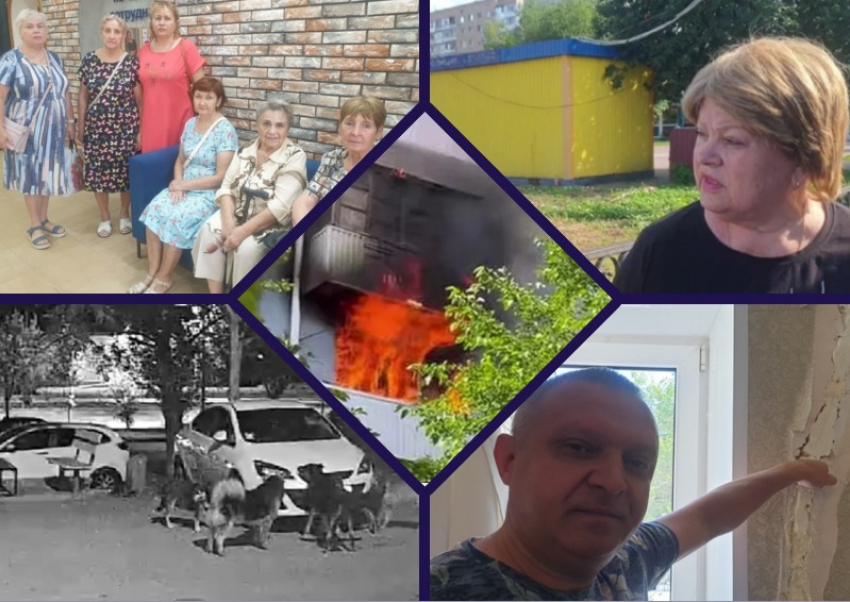 Страшный пожар, дом с большими трещинами и стаи собак: главные новости недели