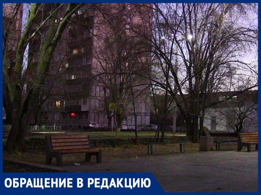 Малолетние вандалы поломали скамейки в сквере «Дубовая роща»